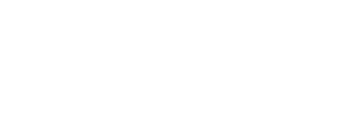 Penguin King